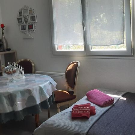 Ravissant Studio Dans Un Cadre Agreable Soultz-Haut-Rhin Exteriör bild