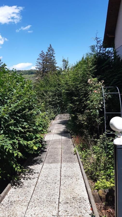 Ravissant Studio Dans Un Cadre Agreable Soultz-Haut-Rhin Exteriör bild