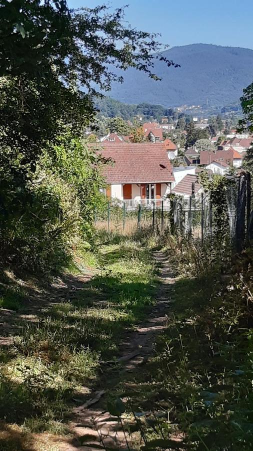 Ravissant Studio Dans Un Cadre Agreable Soultz-Haut-Rhin Exteriör bild