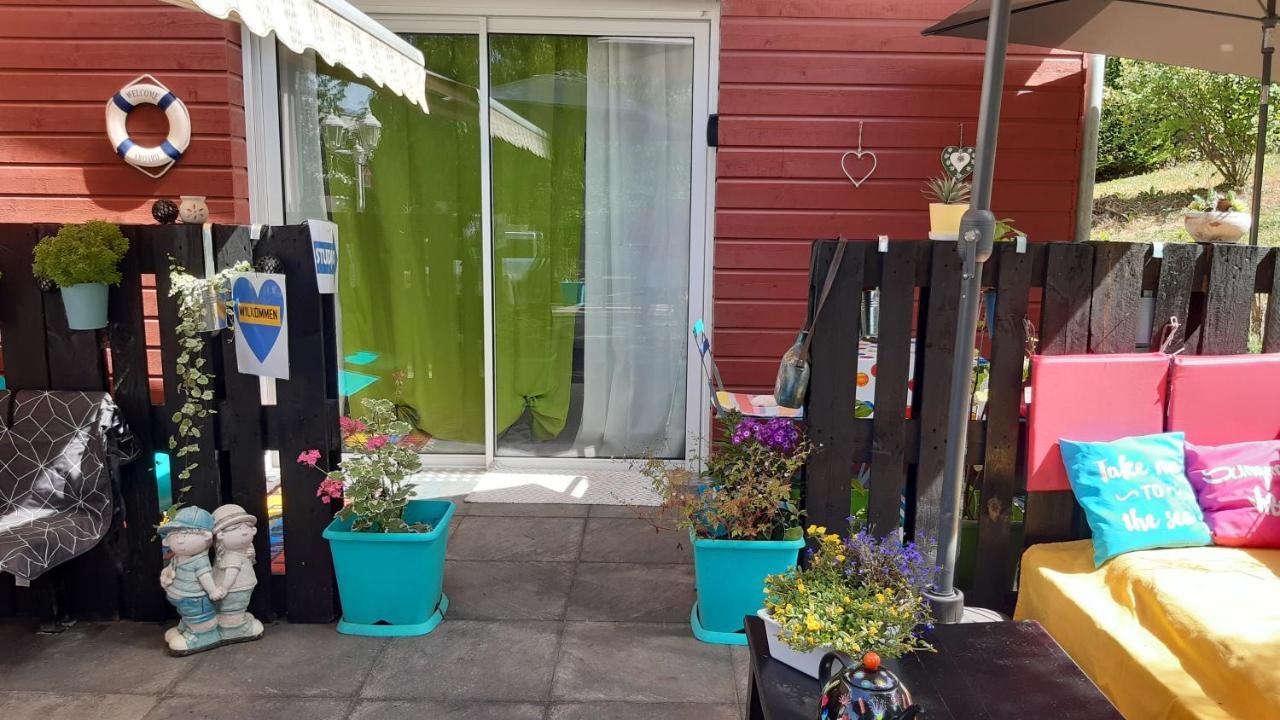 Ravissant Studio Dans Un Cadre Agreable Soultz-Haut-Rhin Exteriör bild